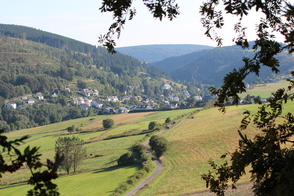 Ferienwohnung Emde Willingen  Esterno foto
