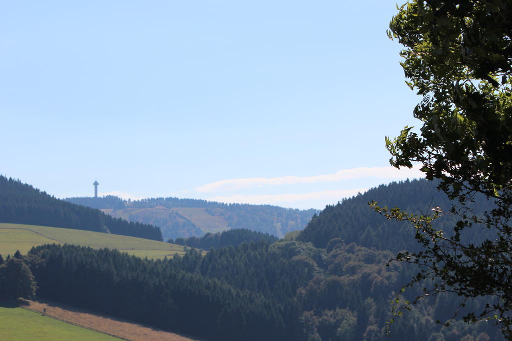 Ferienwohnung Emde Willingen  Esterno foto