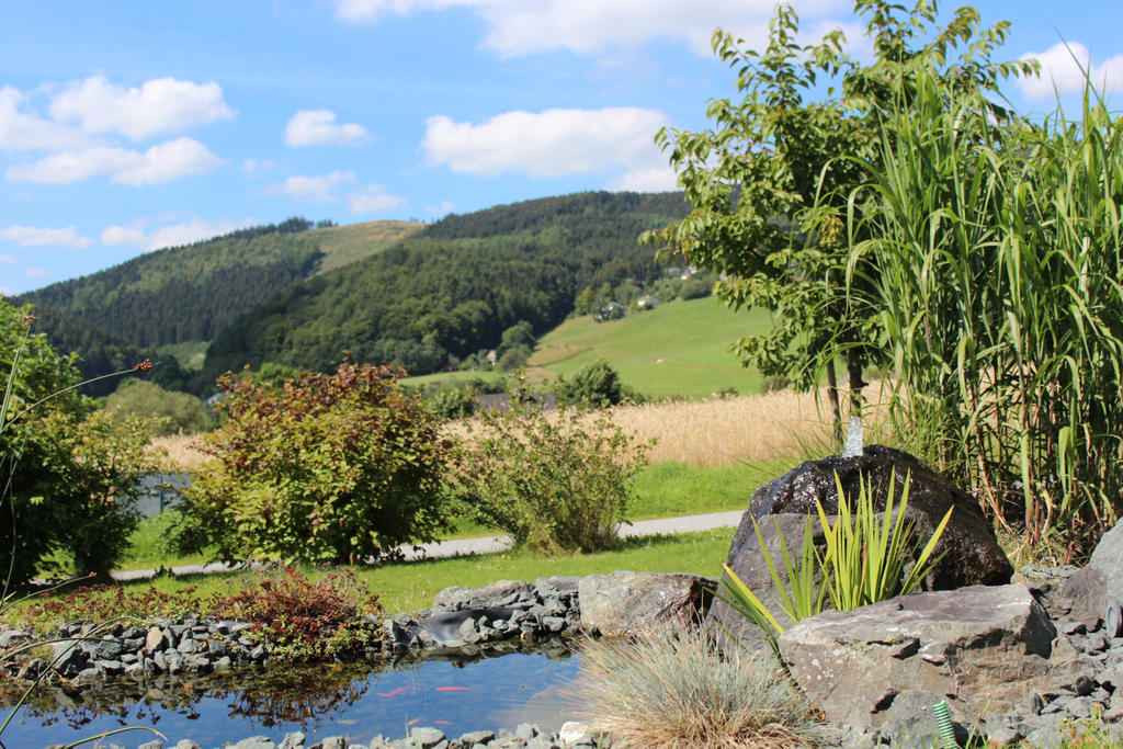 Ferienwohnung Emde Willingen  Esterno foto