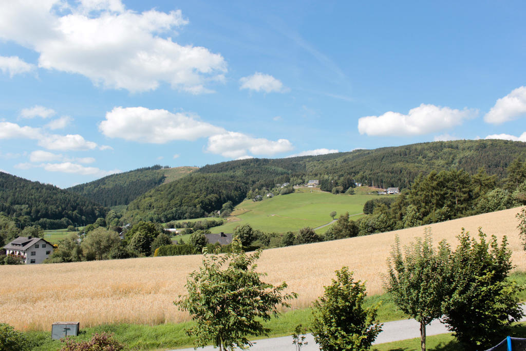 Ferienwohnung Emde Willingen  Esterno foto
