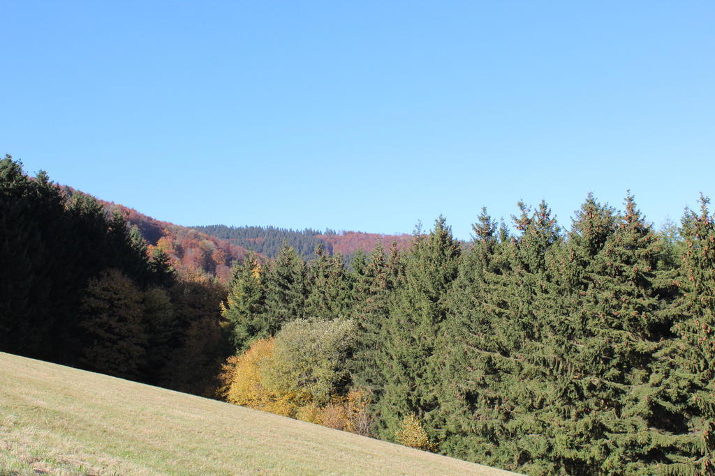 Ferienwohnung Emde Willingen  Esterno foto