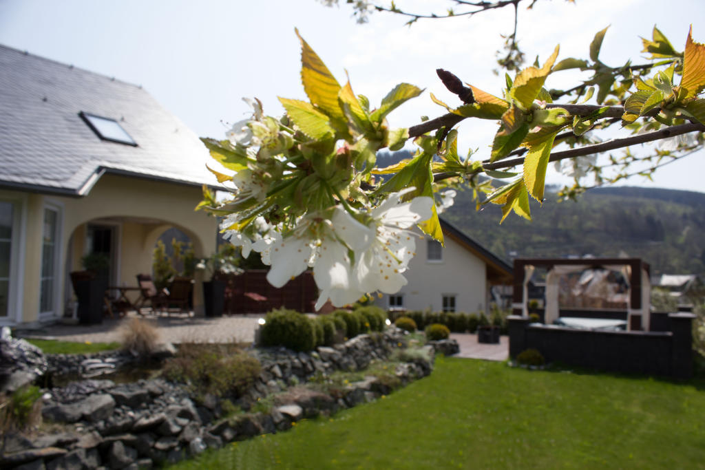 Ferienwohnung Emde Willingen  Esterno foto