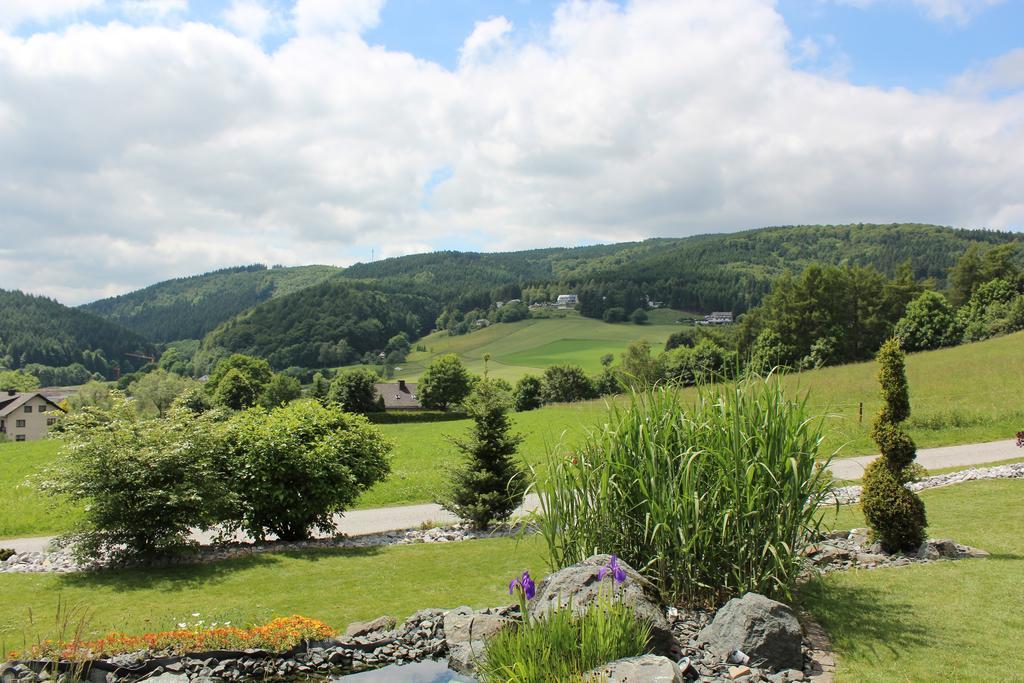 Ferienwohnung Emde Willingen  Esterno foto