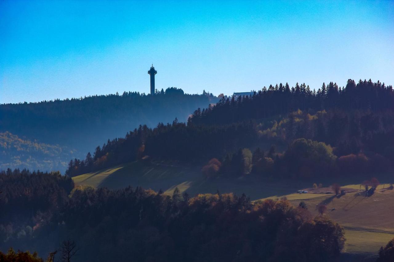 Ferienwohnung Emde Willingen  Esterno foto